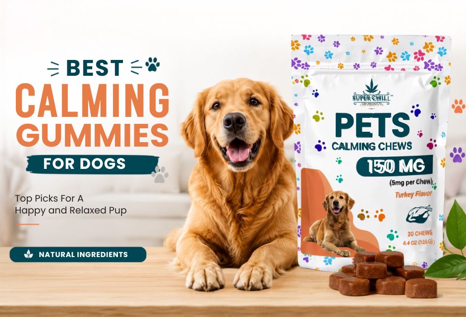 best calming gummies for dogs