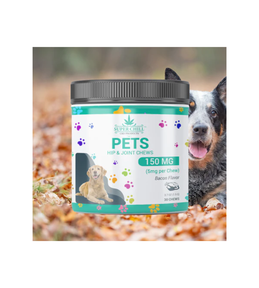 Hip & Joint Chews Bacon Flavor For Dog