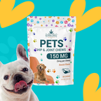 Hip & Joint Chews Gummies Pouch For Dog 