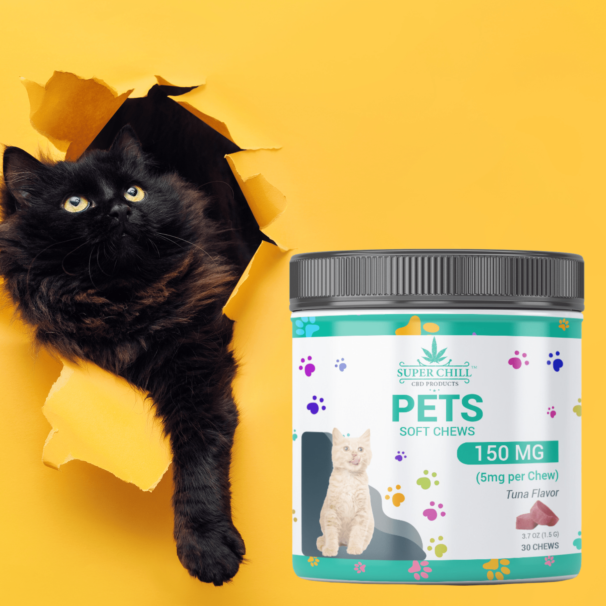 Soft Chews Tuna Flavor For Cat