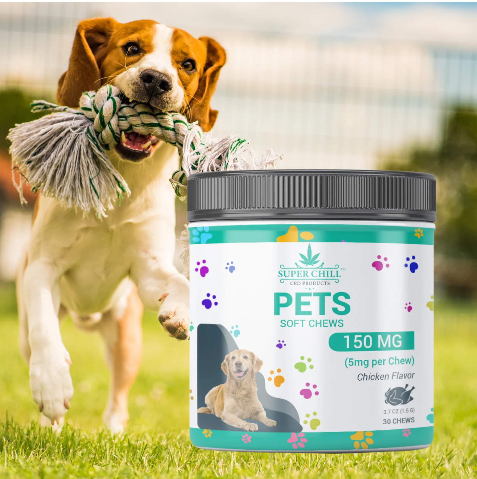 Soft Chews Chicken Flavor For Dog - Image 2